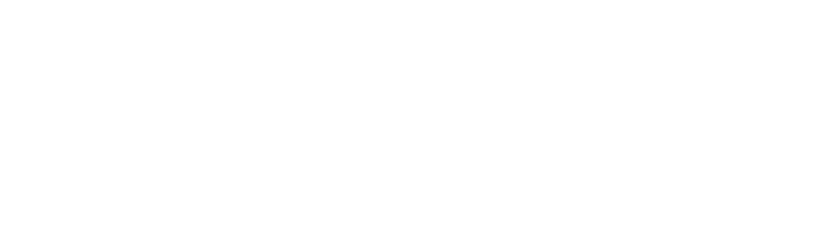 RR Eliite Bridal Silks Logo